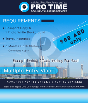 Multiple Entry Visa